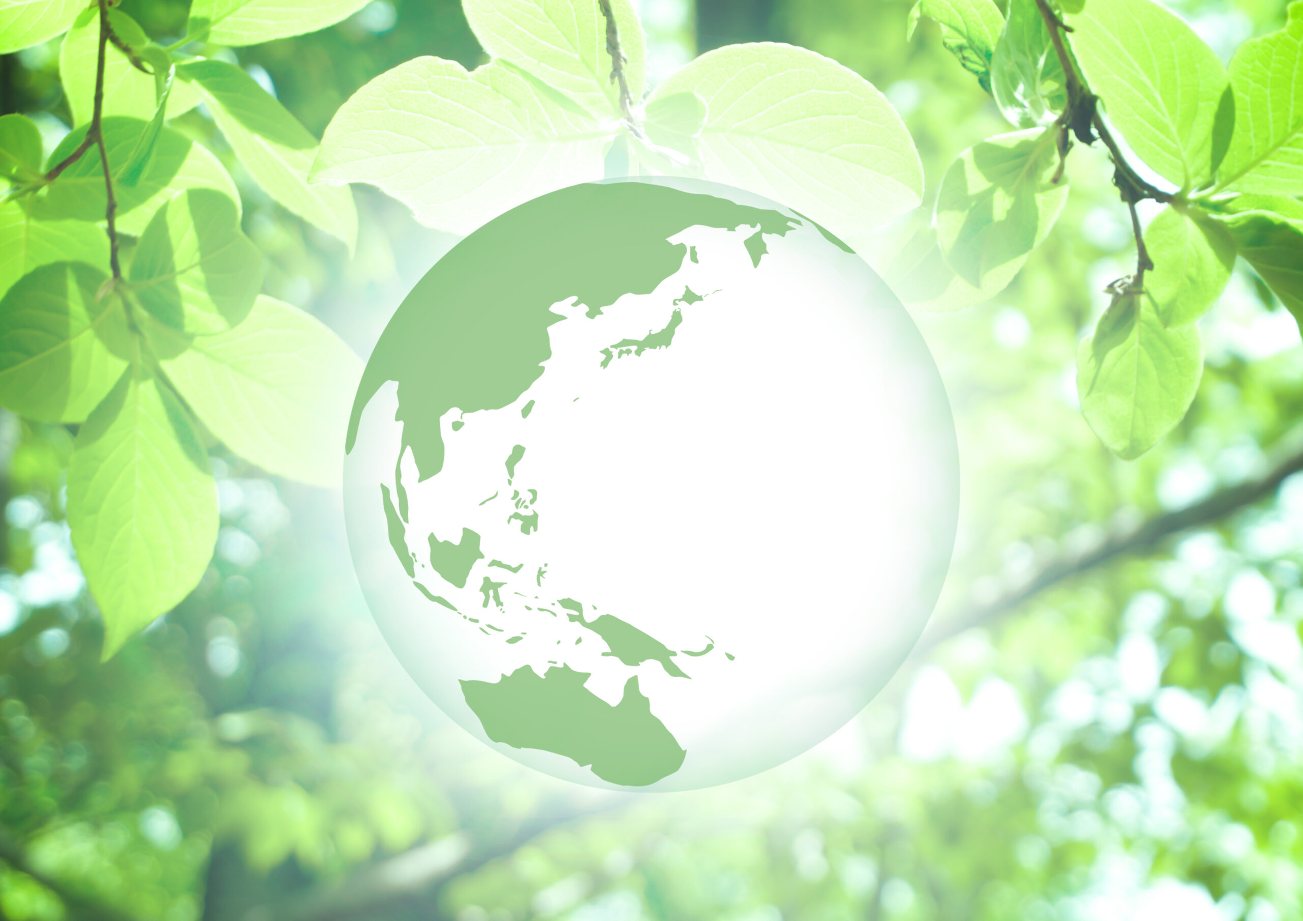 保険代理店への支援